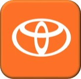 Toyota bug button-orange