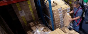 Lift Truck stuff safety harness
