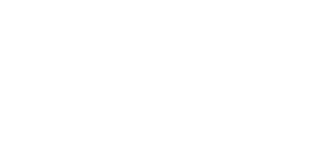 Toyota Material Handling Solutions White Logo